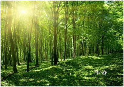 【最新】湖南省加強和規(guī)范建設(shè)項目使用林地審核審批管理工作的通知 【最新】湖南省加強和規(guī)范建設(shè)項目使用林地審核審批管理工作的通知