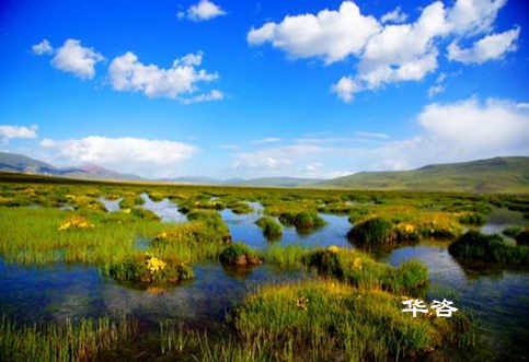 長沙水土保持？湖南省水土保持編制專業(yè)公司_10年專注水土保持報(bào)告的編制。